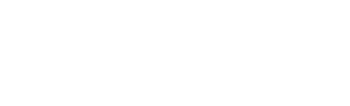 Process Bolt
